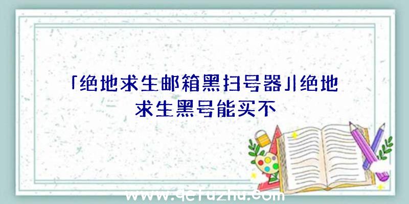 「绝地求生邮箱黑扫号器」|绝地求生黑号能买不